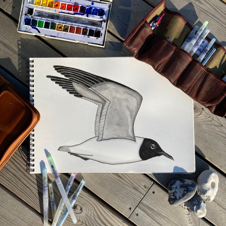 Mand LAKOR Emaljekrus & Eventyr | Hooded Seagull Emaljekrus